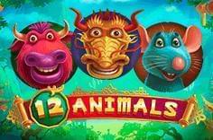 12 Animals